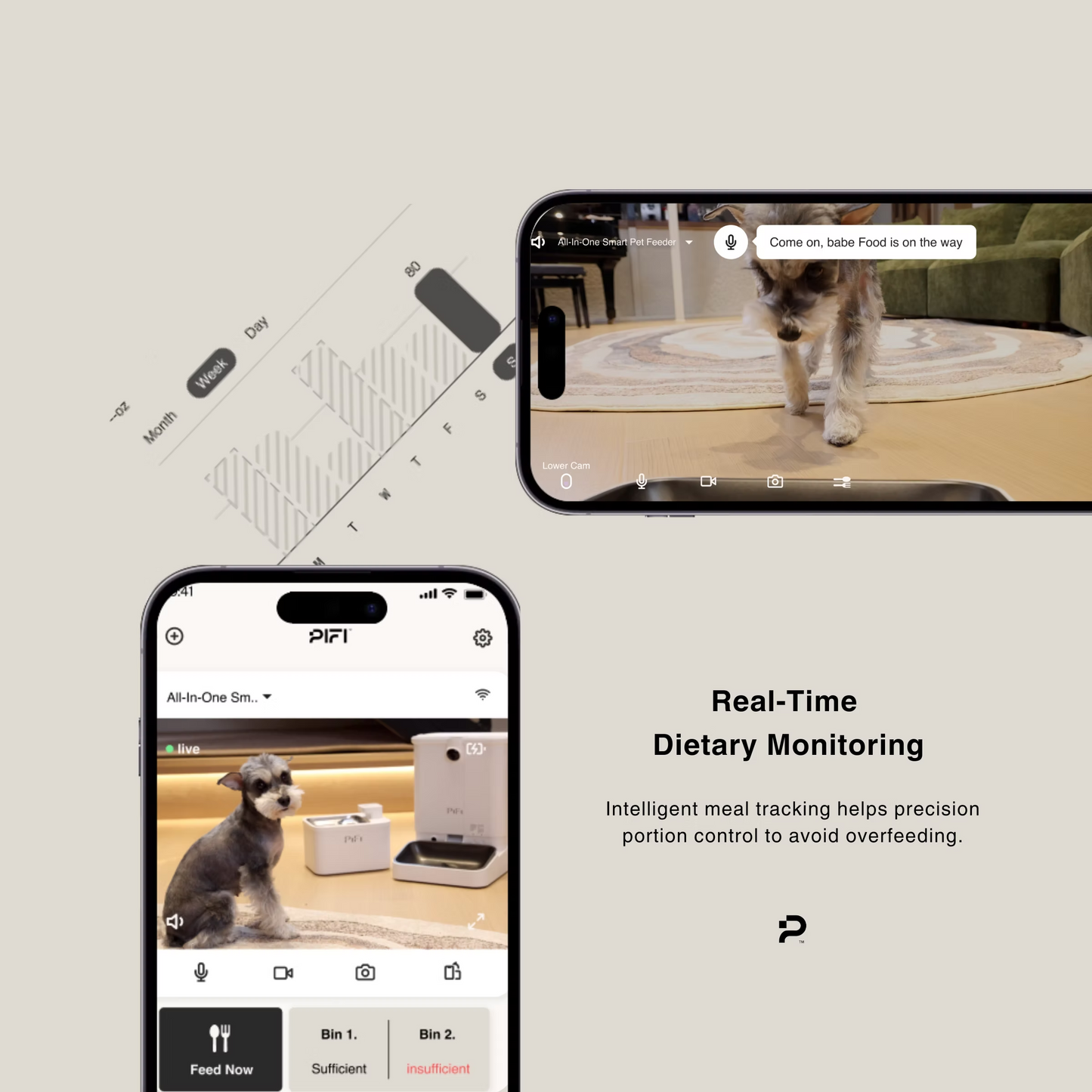 All-in-One Smart Pet Feeder