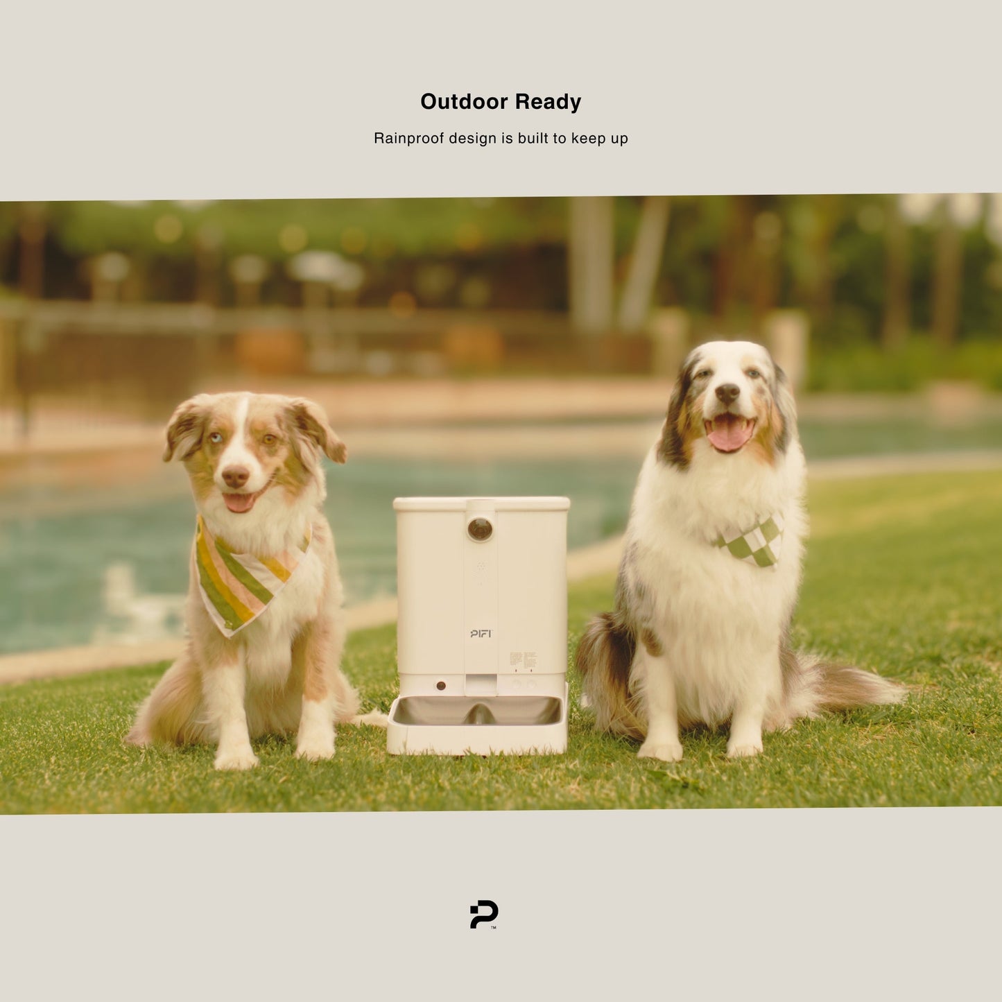 All-in-One Smart Pet Feeder