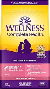 Wellness Complete Health Dry Dog Sensitive Skin & Stomach Salmon & Rice Adult (5lb)