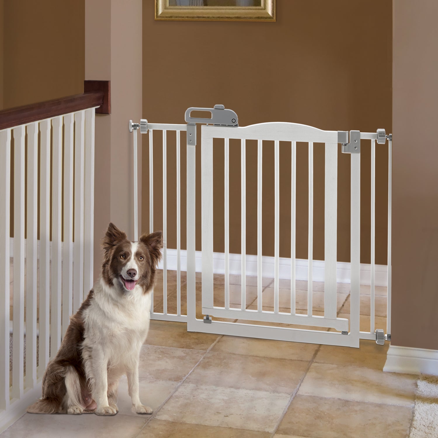 One-Touch Gate II in White PawCounter.com