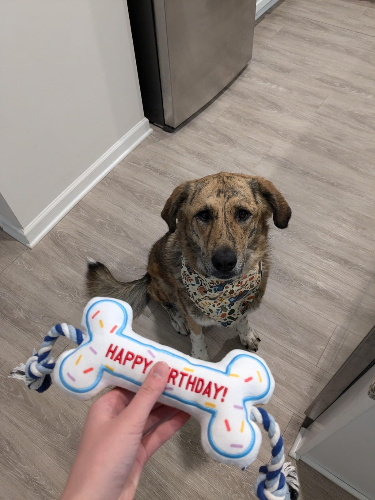 BIRTHDAY BONE