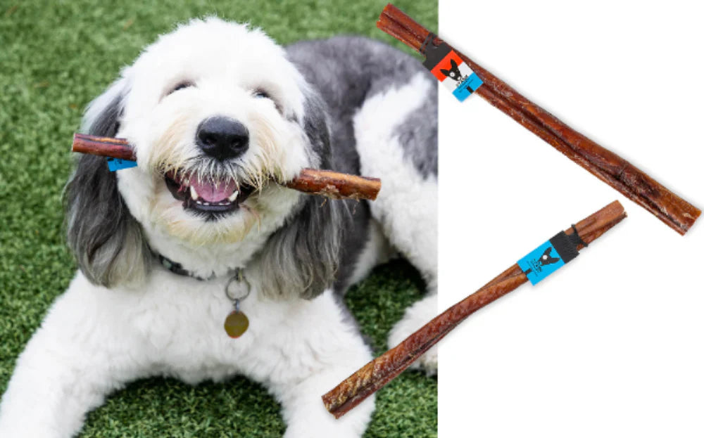 Stash Dog Jumbo USA Bully Stick (12inch)