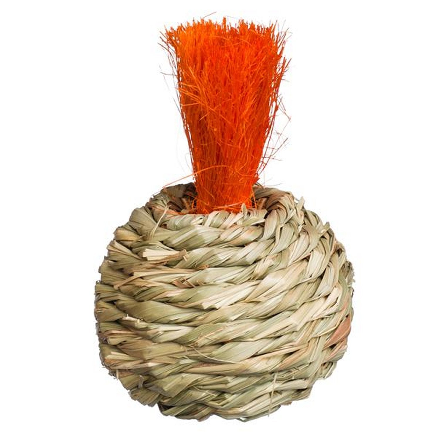 Prevue Pet Products Grassy Nibblers Squash - 1080 PawCounter.com