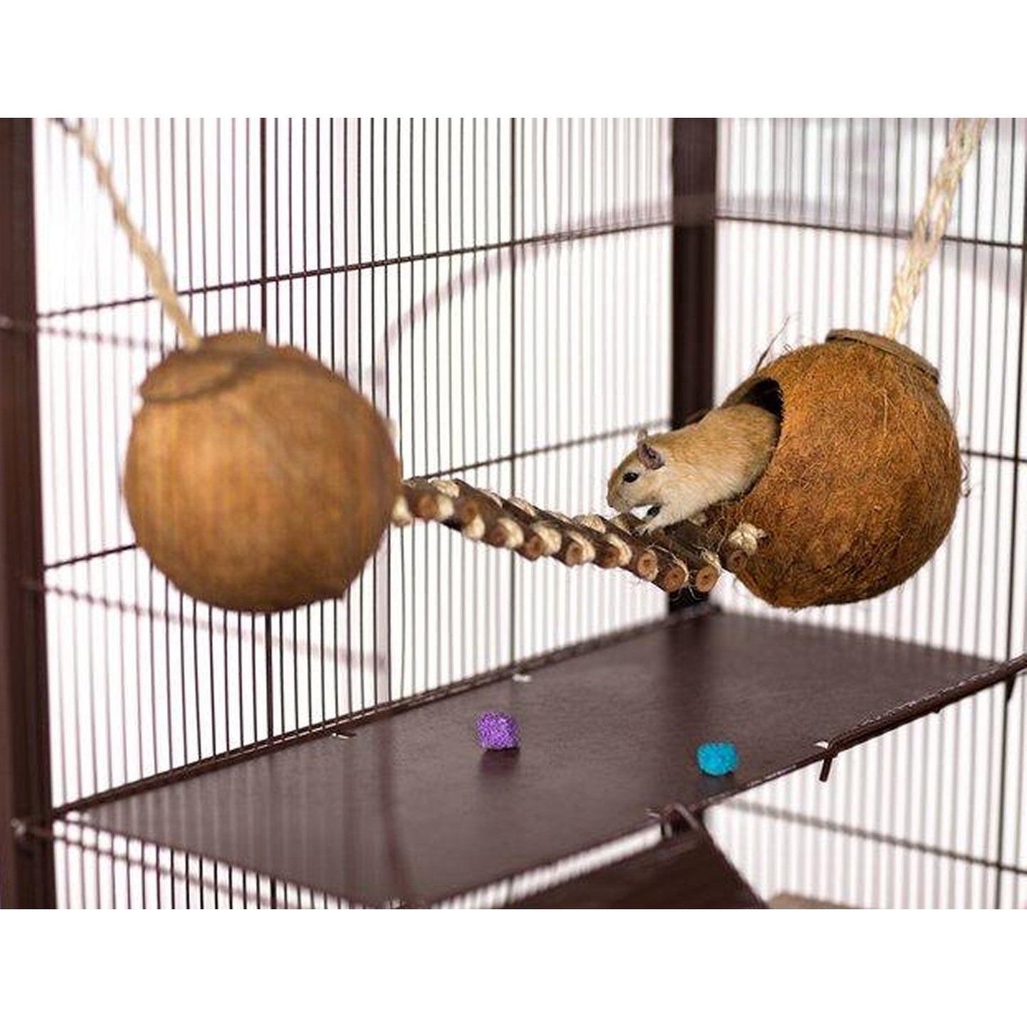 Prevue Pet Products Double Coconut with Ladder - 62818 PawCounter.com