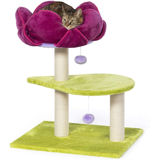 Prevue Pet Products Flower Power PawCounter.com