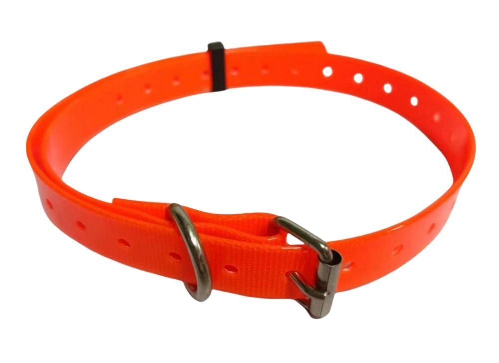 Orange adjustable dog training collar with metal buckle and multiple sizing holes
