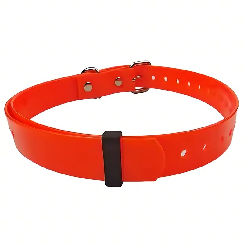 Bright orange adjustable dog training collar with metal buckle and multiple size holes