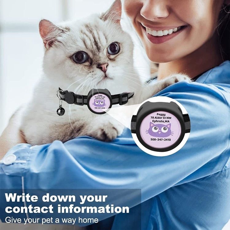 AirTag pet collar on white cat showing customizable contact information tag for pet safety