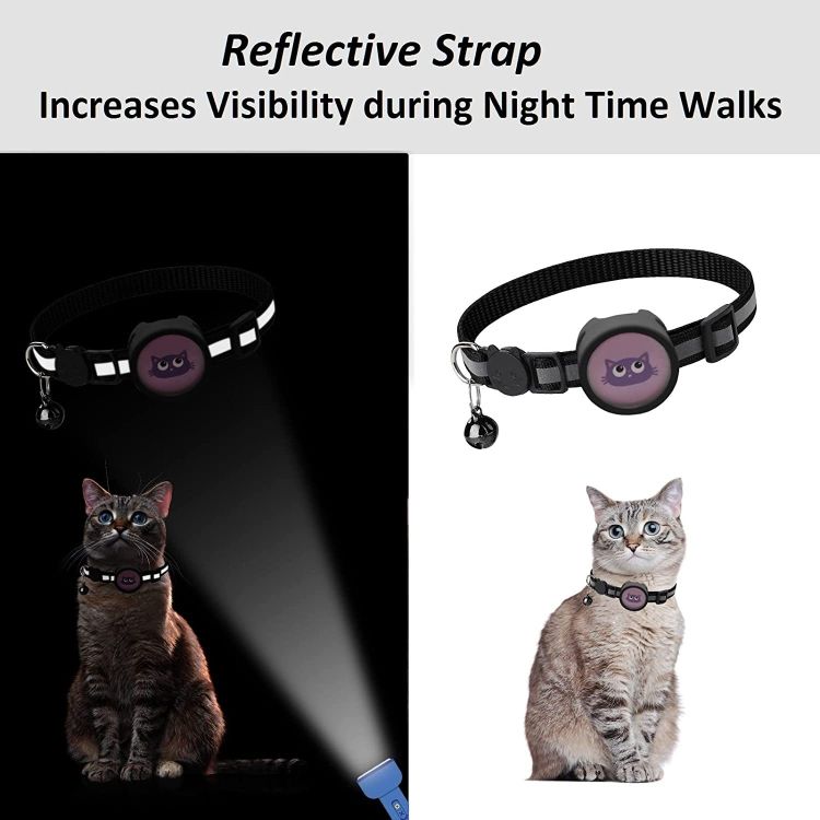 Reflective AirTag pet collar on a cat increasing visibility during nighttime walks with safety strap
