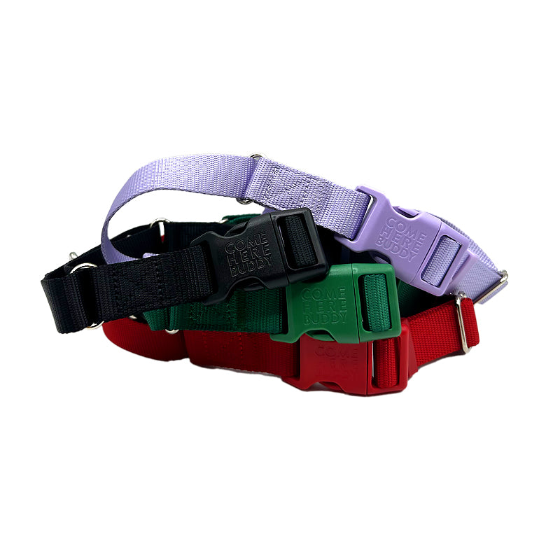 Martingale Dog Collar