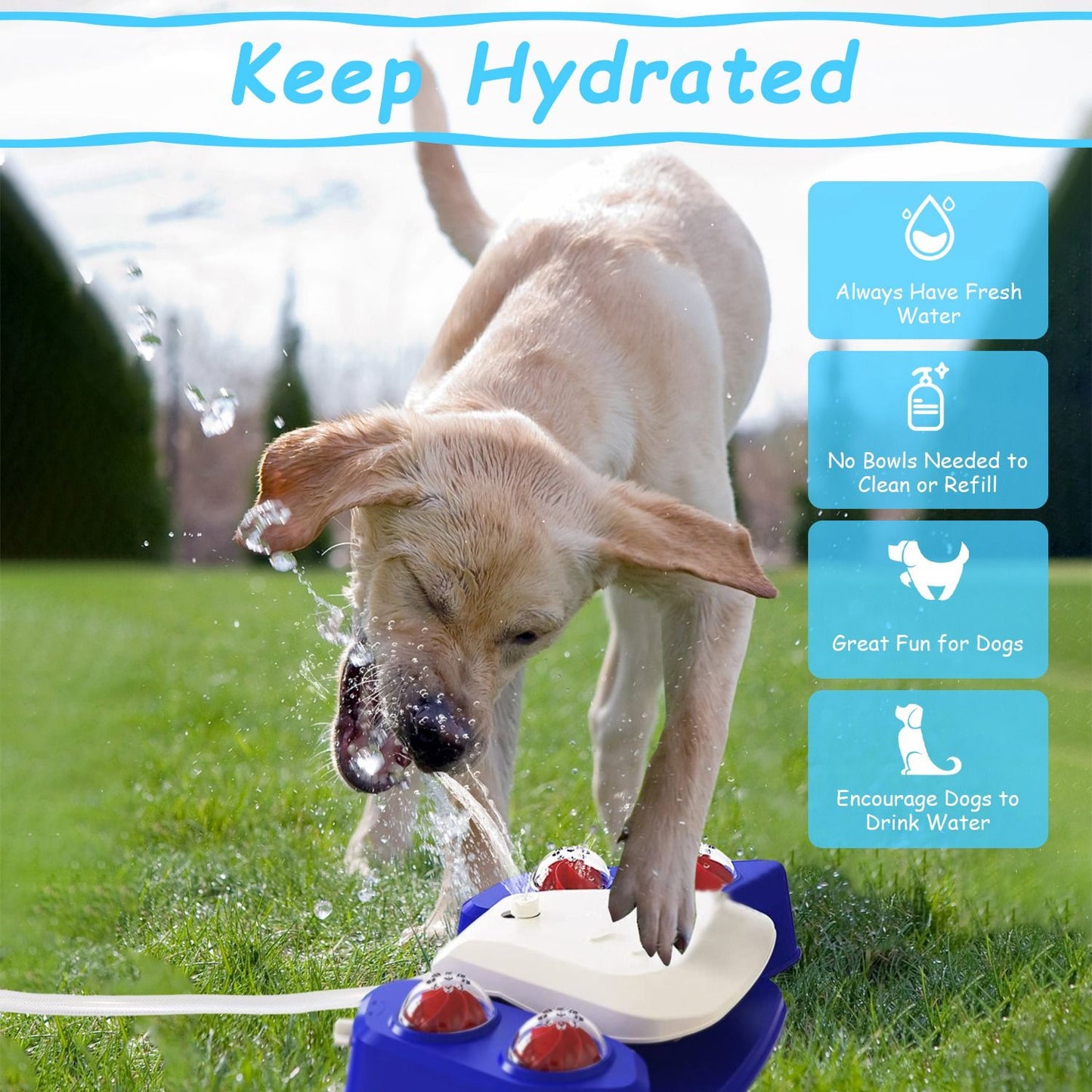 Dog drinking from blue and white automatic dog water fountain on grass outdoors