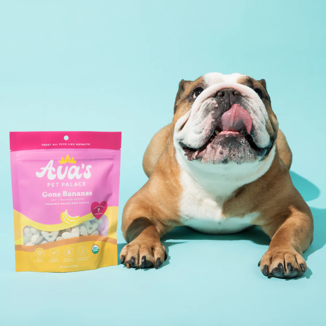 Bulldog lying next to a bag of Ava's Pet Palace organic dog treats Gone Bananas flavor