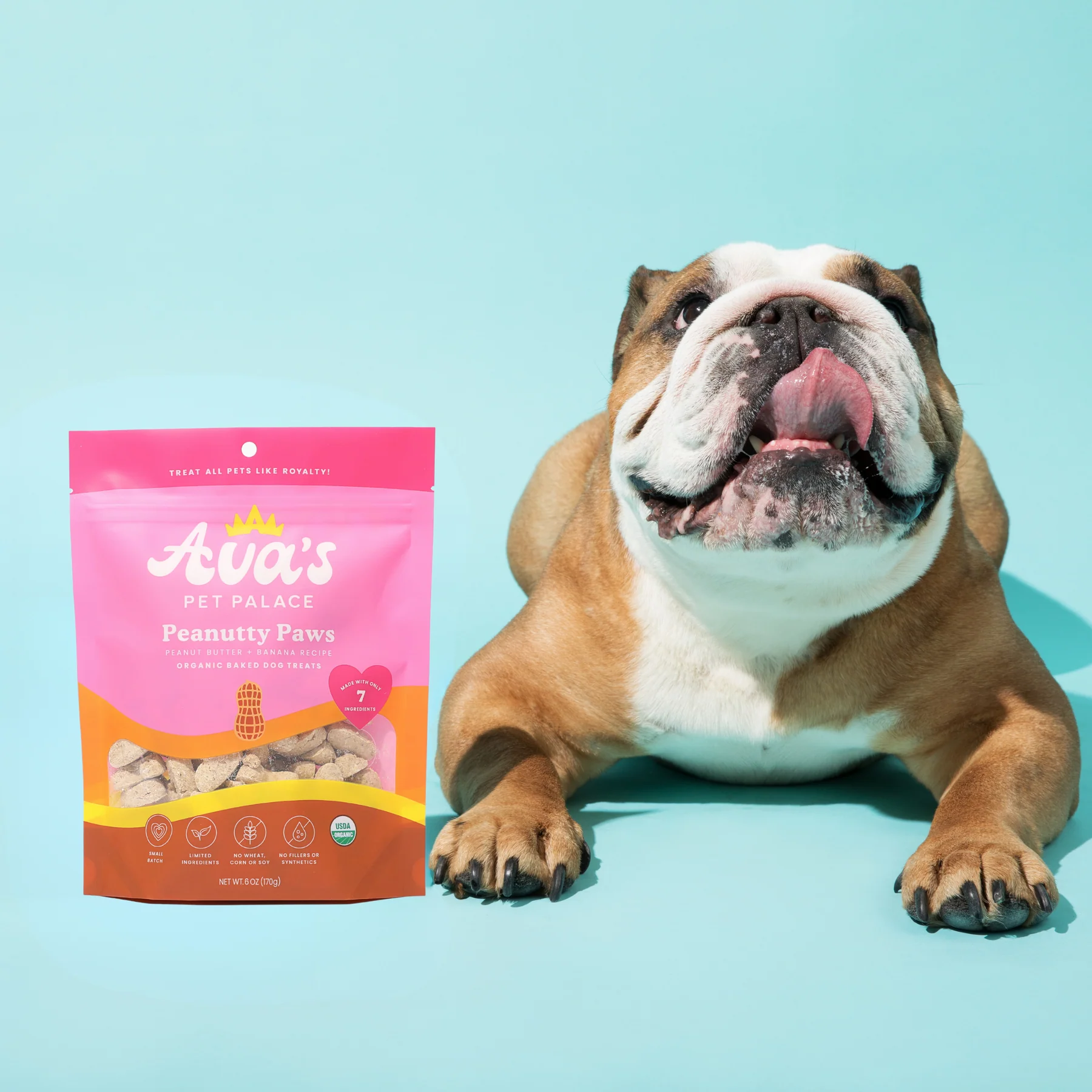 American Pet Supplies organic dog treats Peachnutty Paws with happy bulldog on blue background