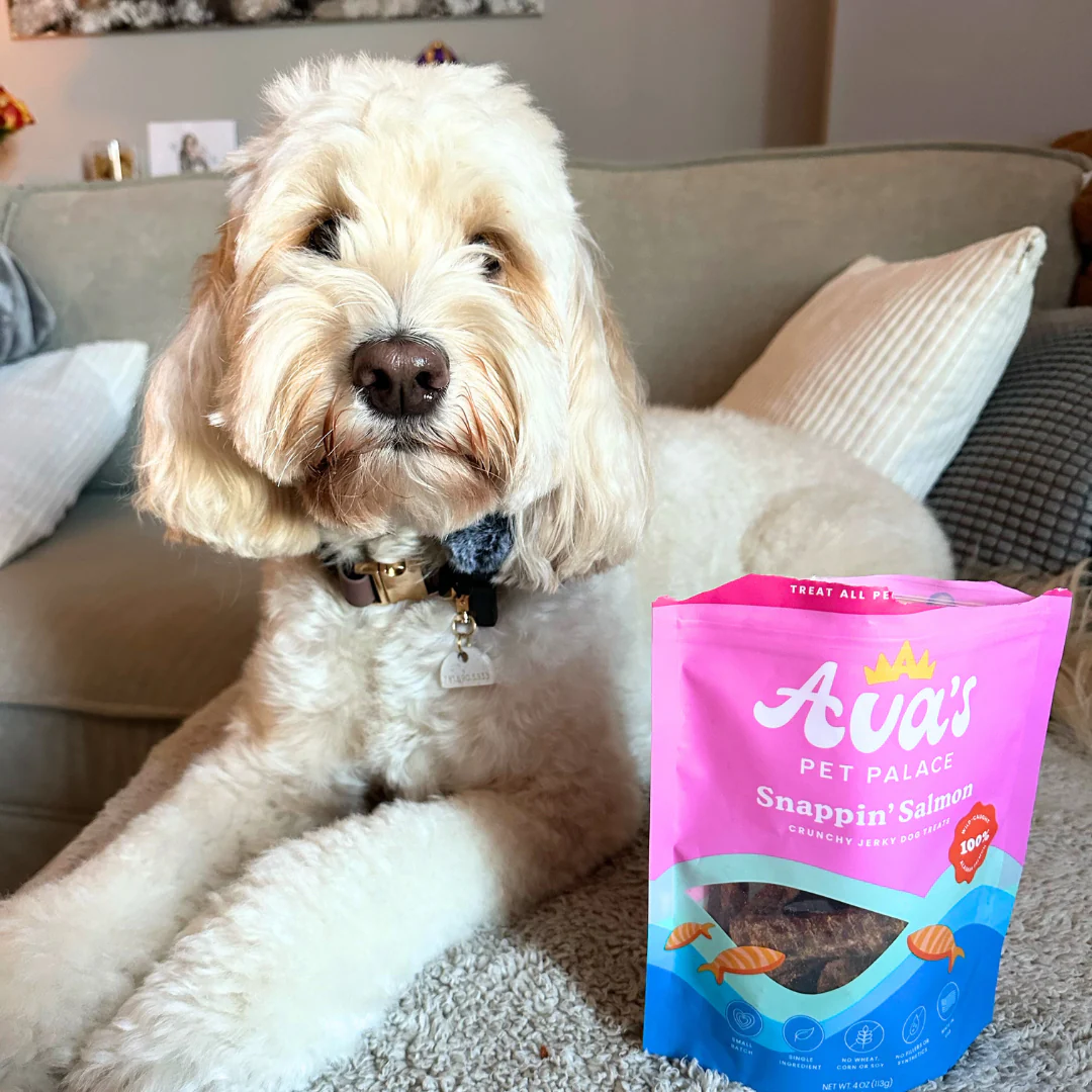 American Pet Supplies salmon jerky dog treats package next to a white fluffy dog on a couch