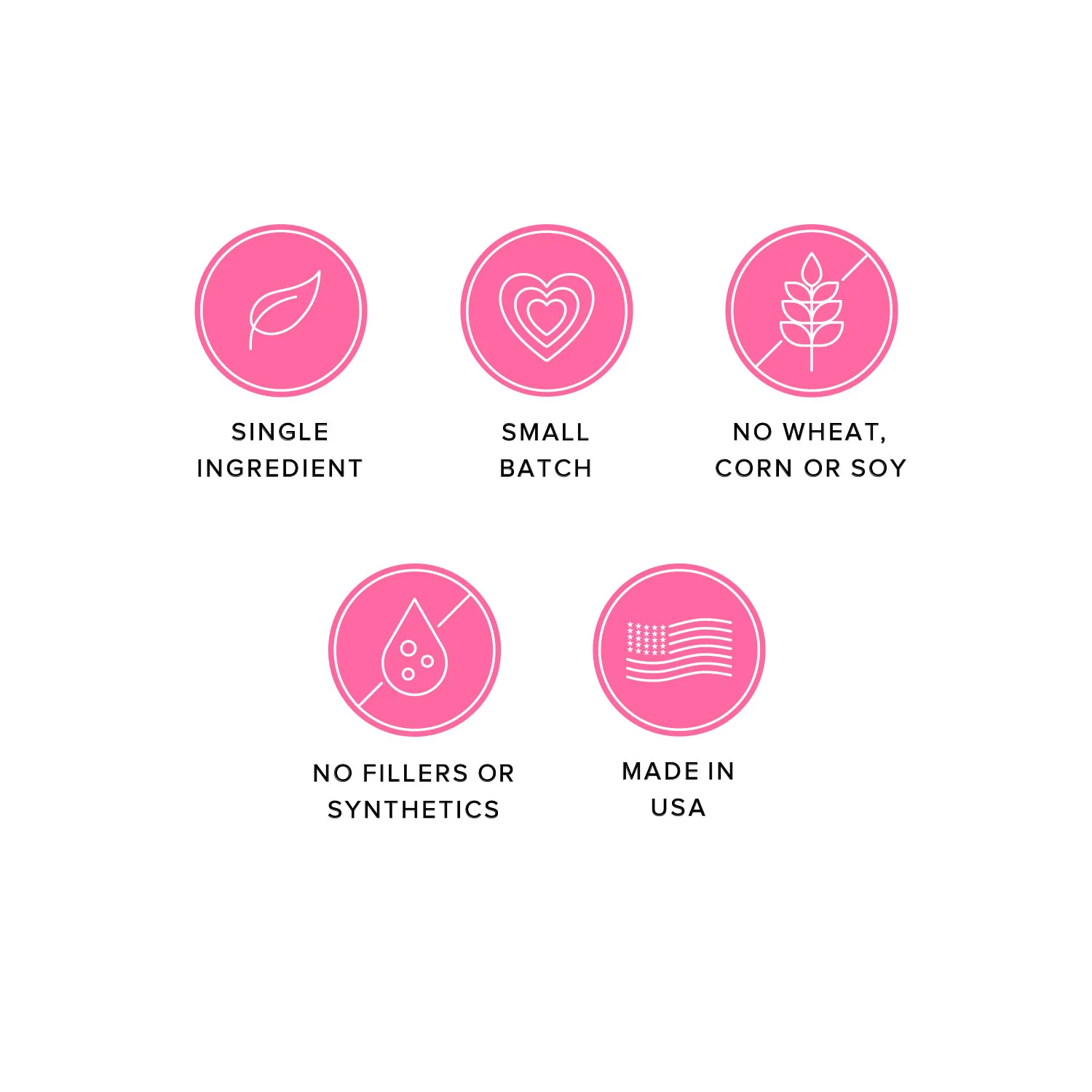 Icons highlighting features of American Pet Supplies salmon jerky dog treats including single ingredient small batch no wheat corn or soy no fillers made in USA