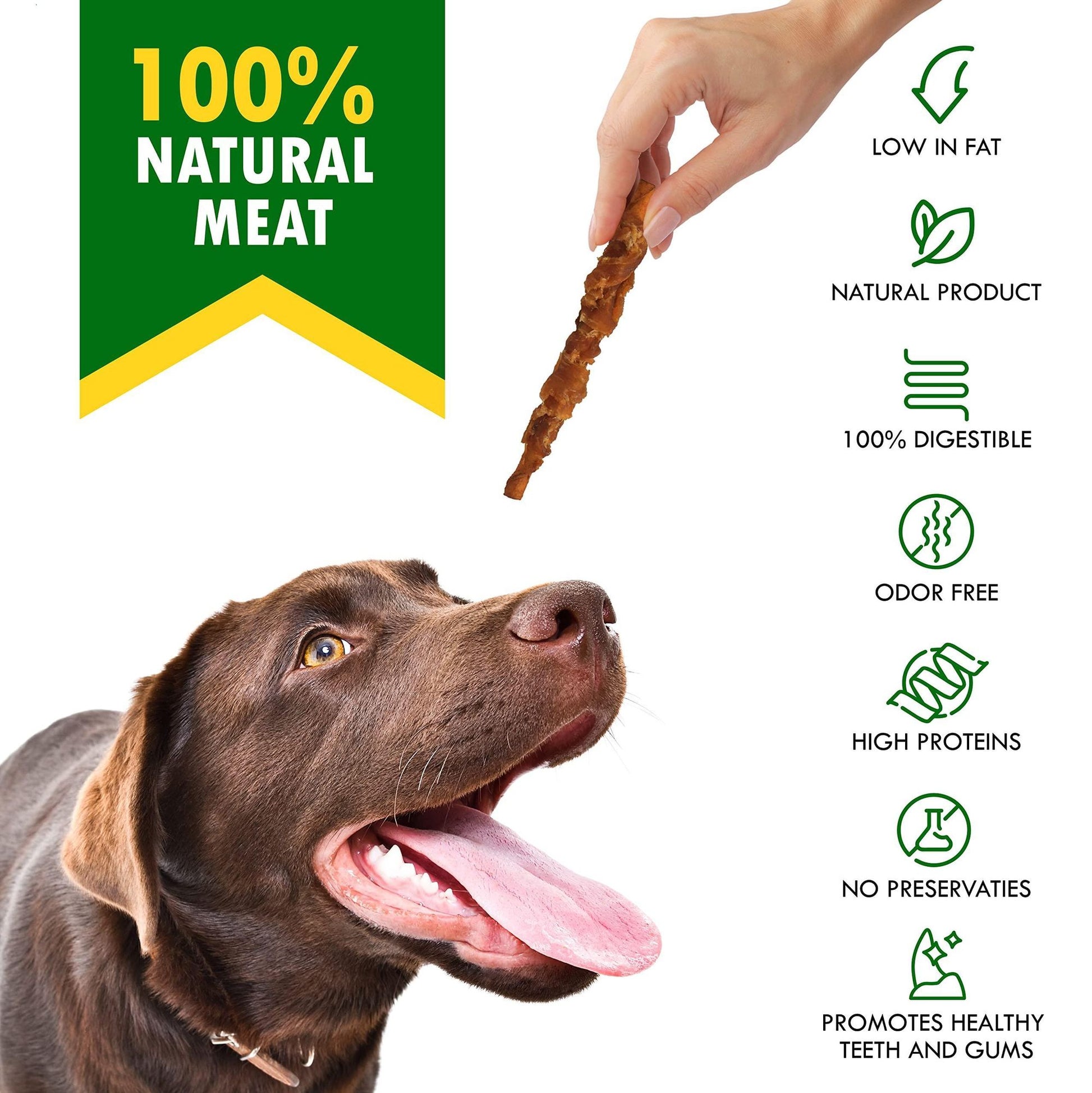 Chocolate Labrador eagerly looking at organic dog chew treats made of 100 percent natural meat