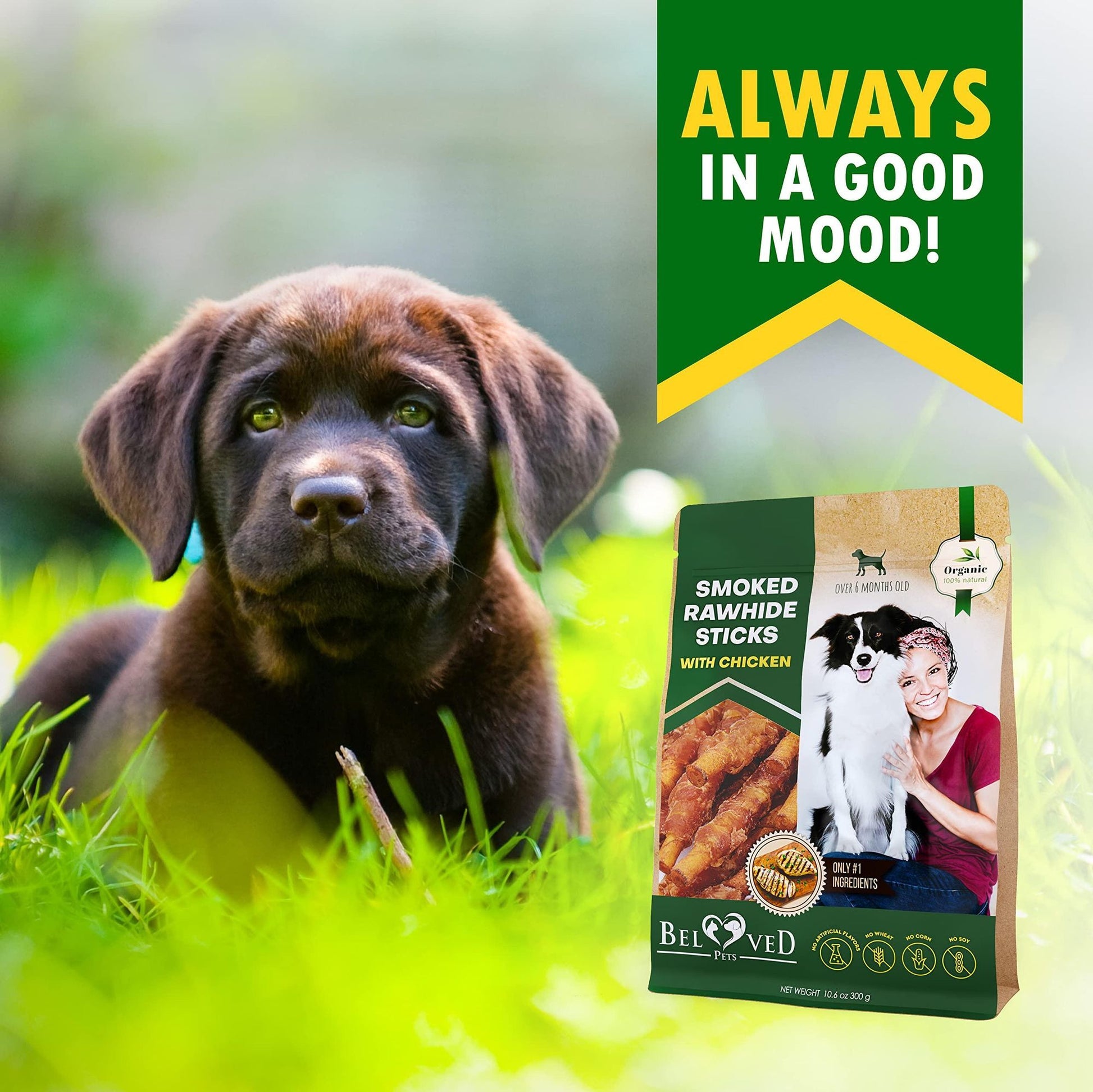 Organic dog chew treats smoked rawhide sticks with chicken featuring a happy dog and owner outdoors