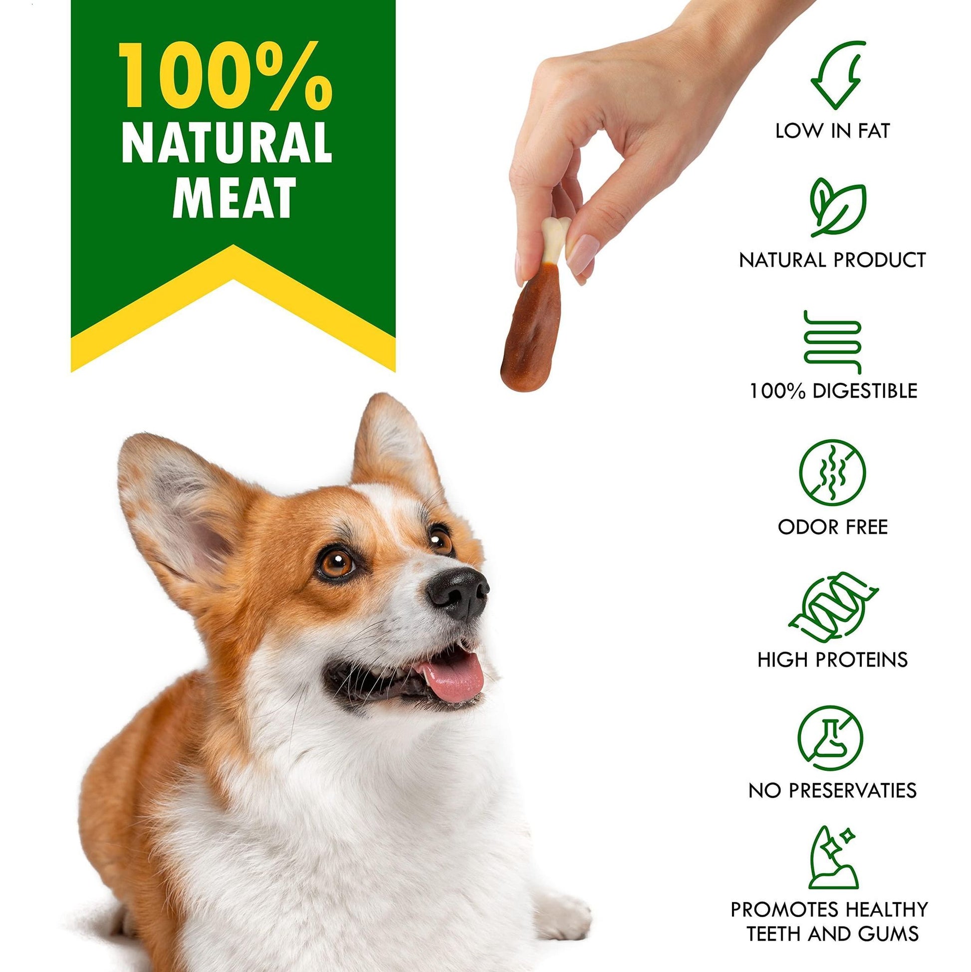 Dog calcium bones with chicken treat held above an attentive corgi sitting beside natural product benefits list