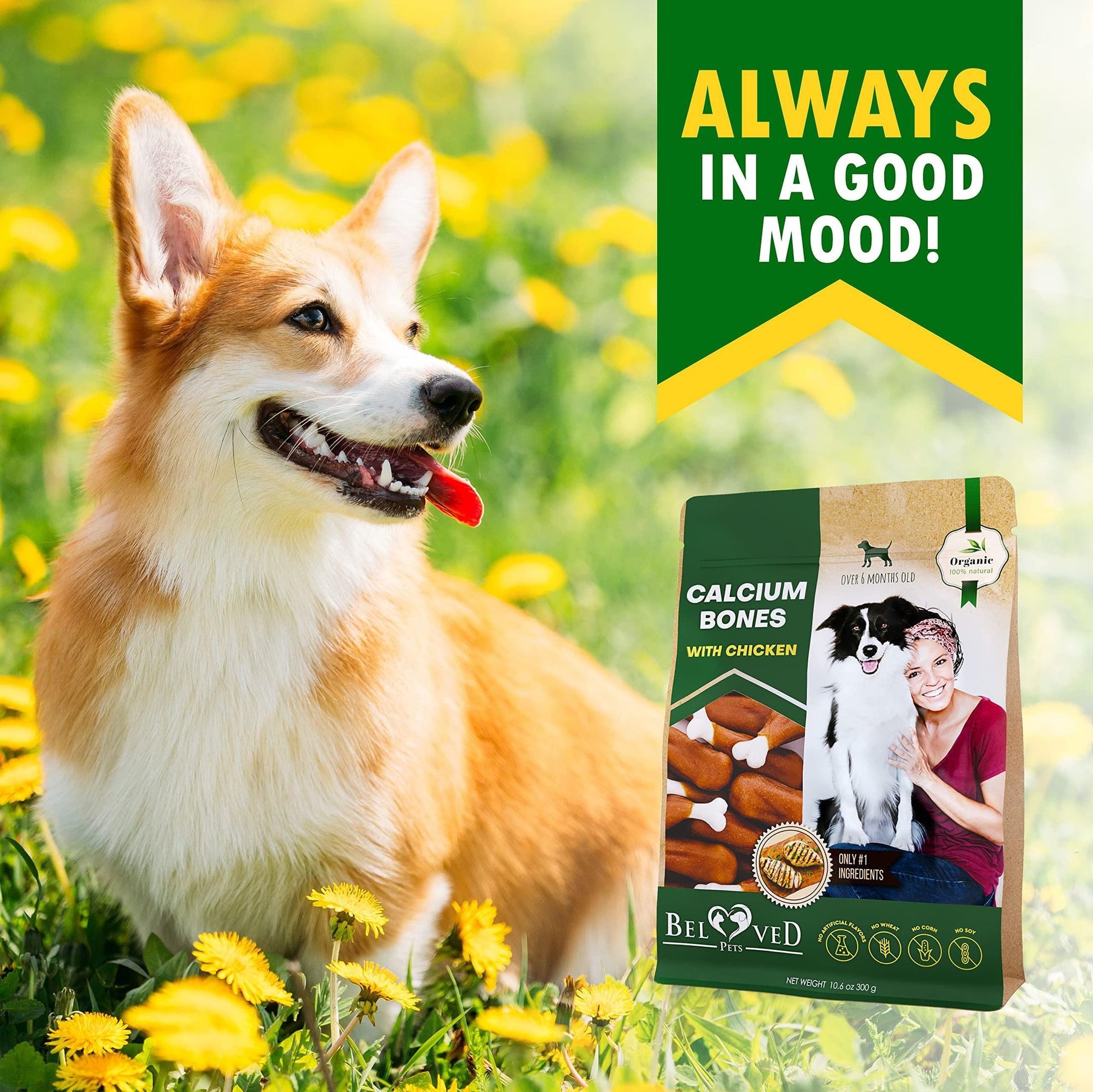Dog calcium bones with chicken by PawCounter.com beside happy corgi in sunny flower field