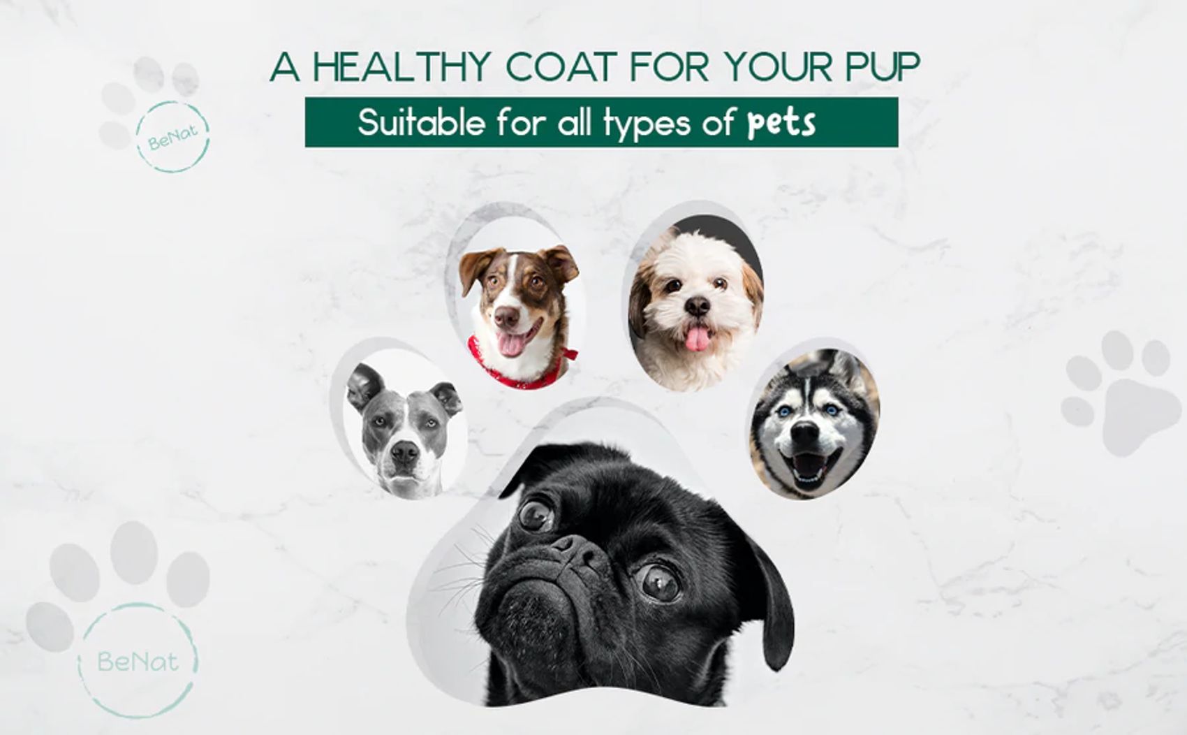 All natural pet shampoo bar promoting a healthy coat for dogs of all types and breeds