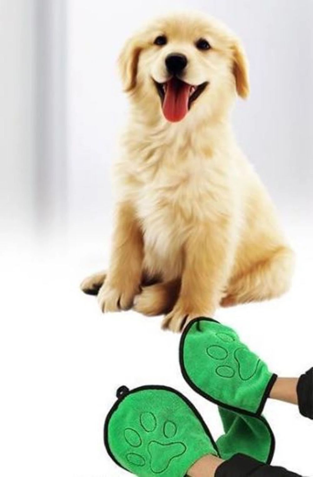 Golden retriever puppy with green pet grooming bundle gloves for easy fur removal