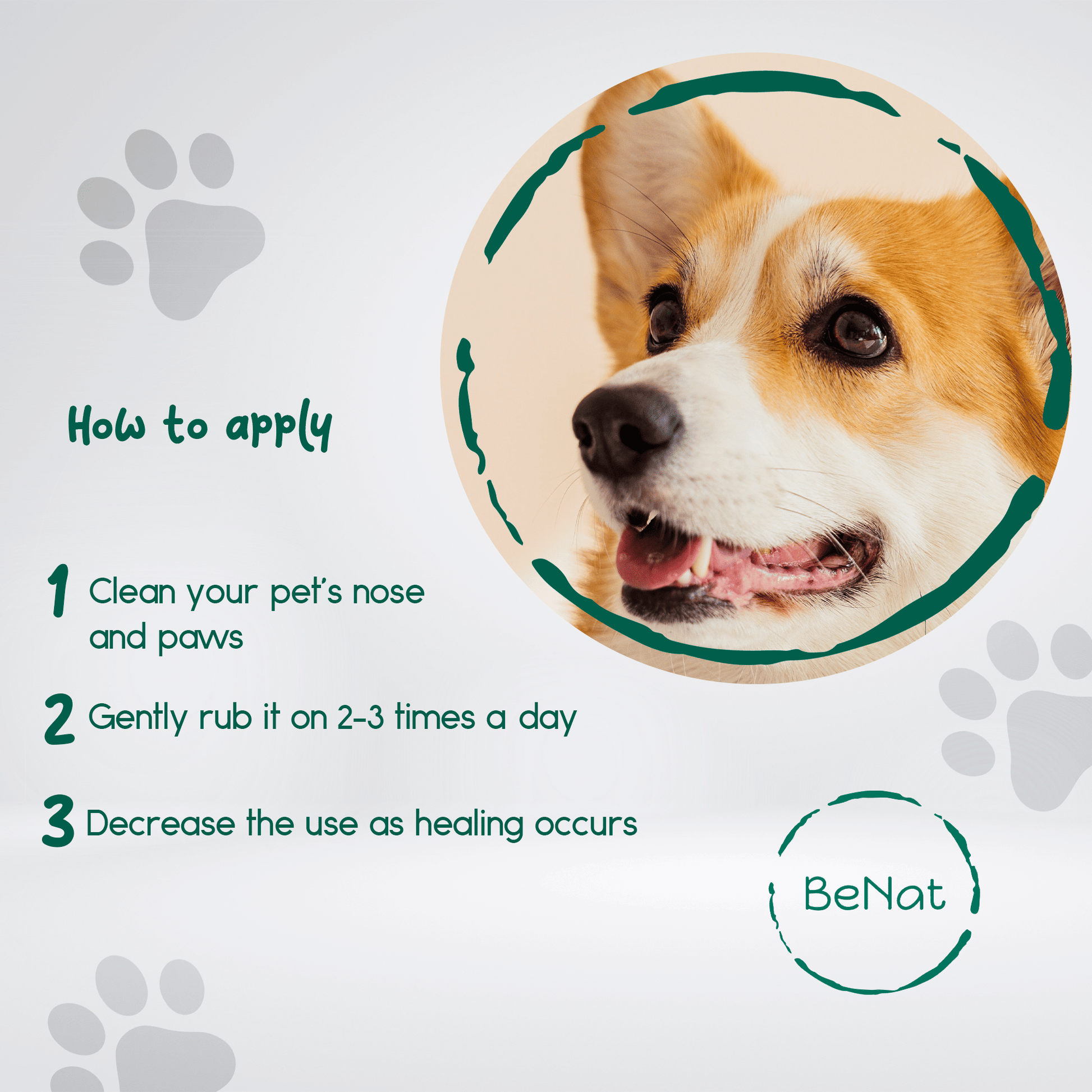 Pet grooming bundle usage instructions with close-up of happy dog and paw print graphics