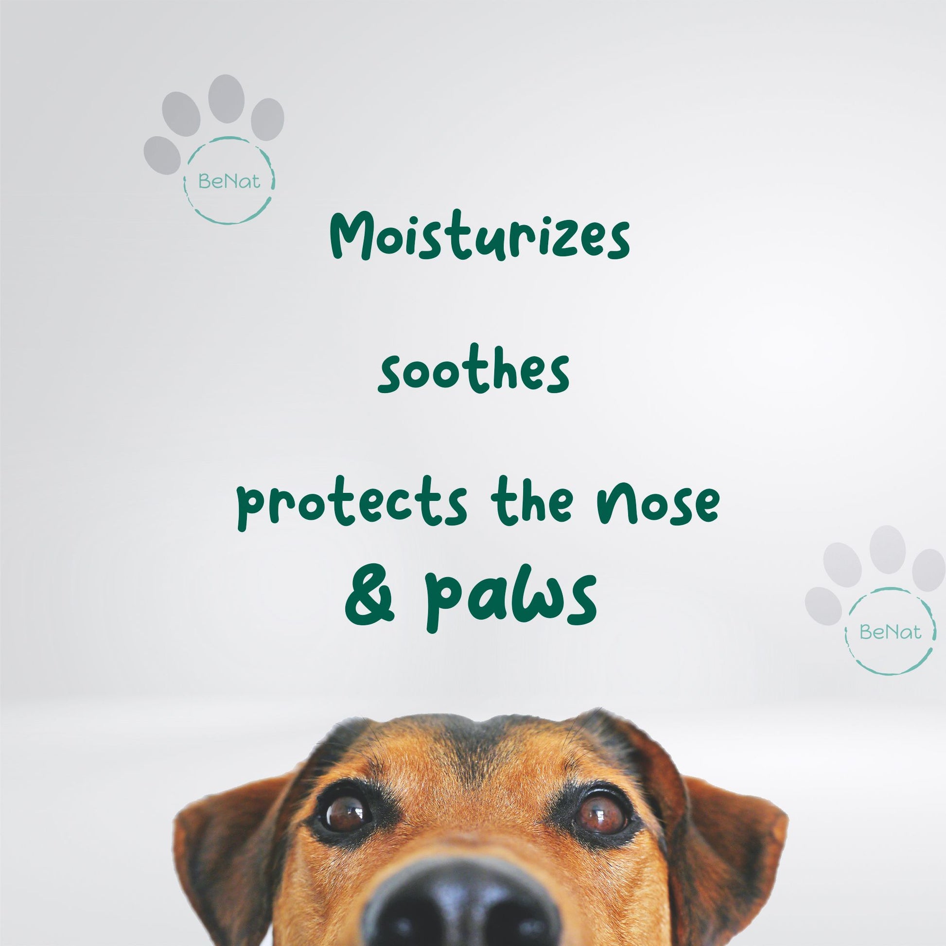 Dog with text describing benefits of pet grooming bundle moisturizing and protecting nose and paws