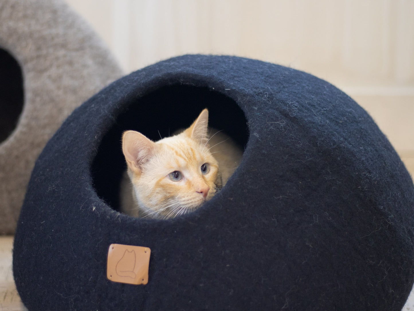 Cat resting inside a cozy black pet cave bed by The Family Pet, perfect for small pets