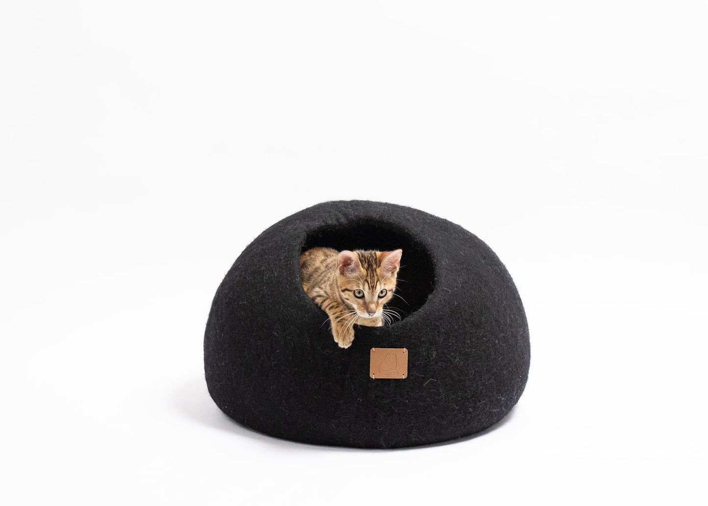 Cat peeking out of a black pet cave bed made by The Family Pet on white background