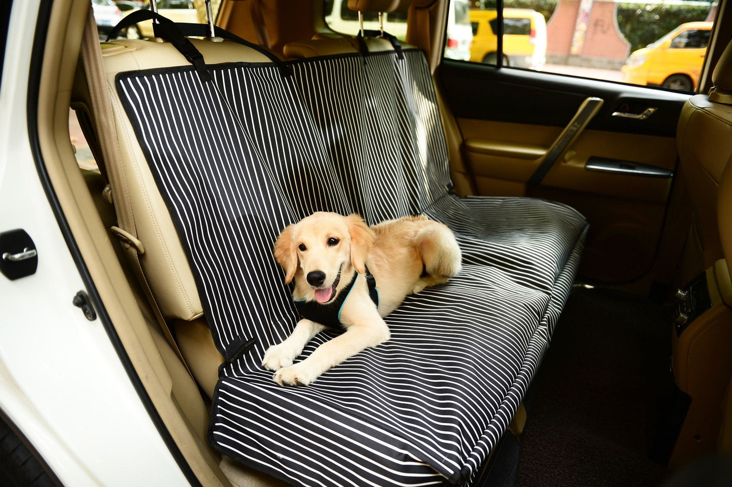 Golden retriever puppy lying on black and white striped pet car seat protector in backseat of a car