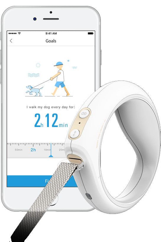 Bluetooth smart dog leash with app showing daily dog walking time on smartphone screen