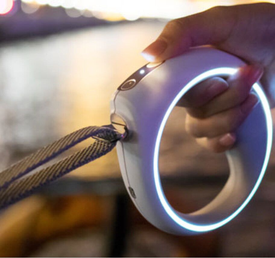 Hand holding a white Bluetooth smart dog leash with LED light ring and striped leash attached