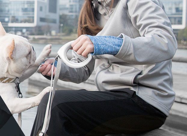 Bluetooth smart dog leash held by person walking a white bulldog in an urban outdoor setting
