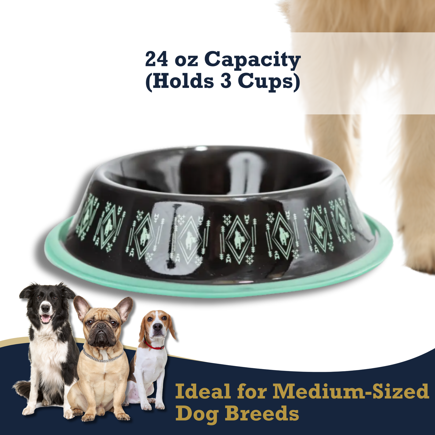 Boho stainless steel dog bowl with 24 oz capacity and turquoise pattern from American Pet Supplies