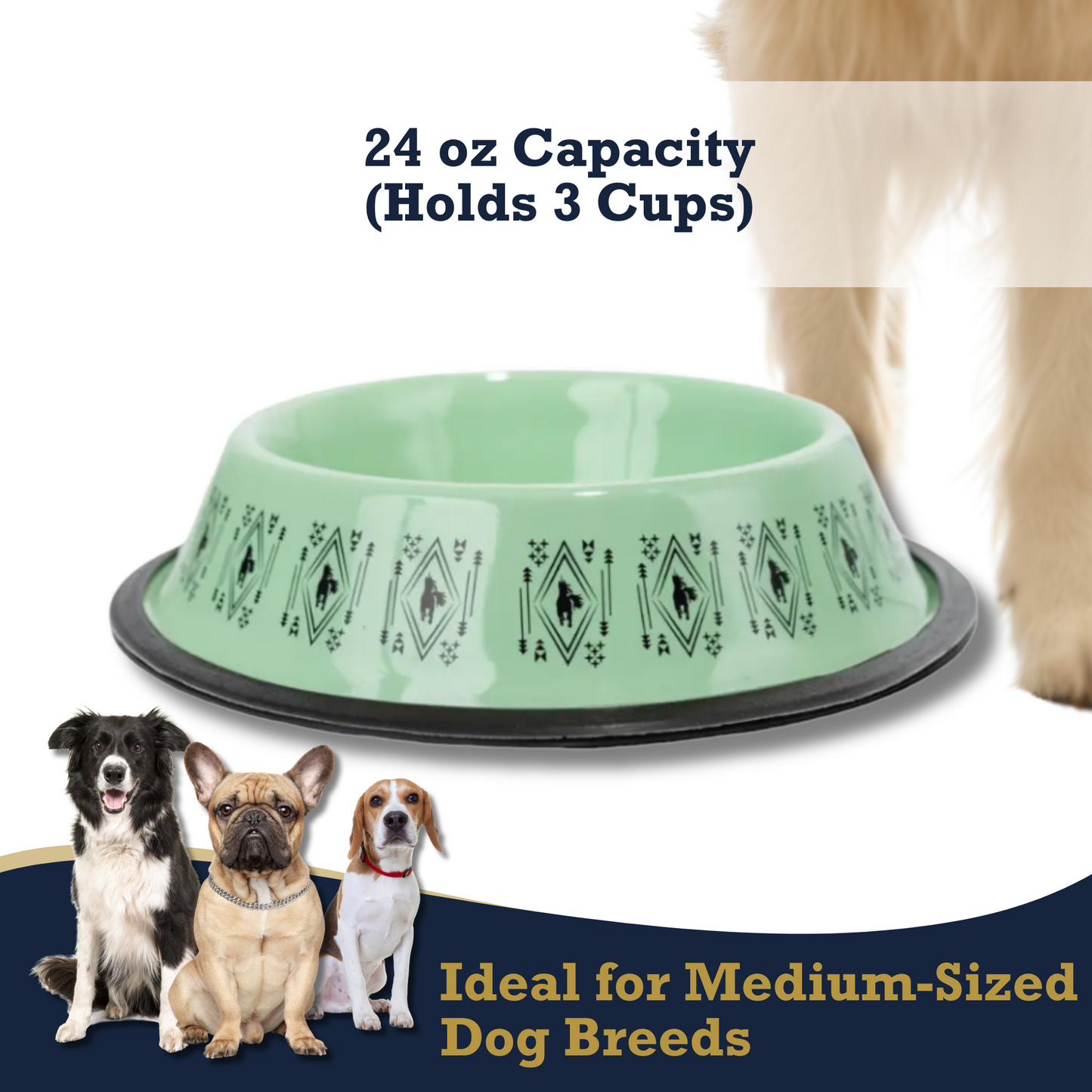 Boho stainless steel dog bowl with 24 oz capacity and decorative green design for medium-sized dogs