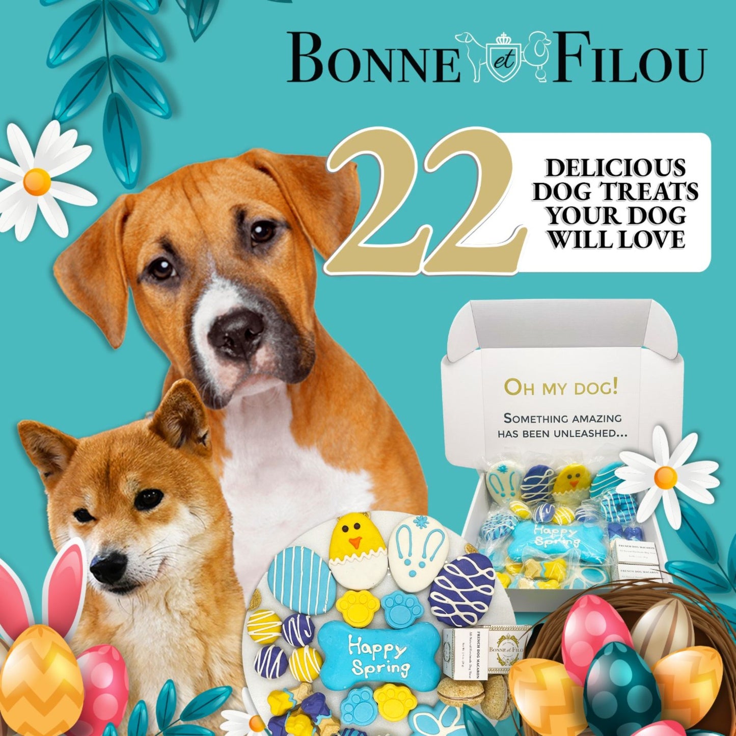 Easter dog treats gift box with 22 colorful spring-themed biscuits and two cute dogs on blue background