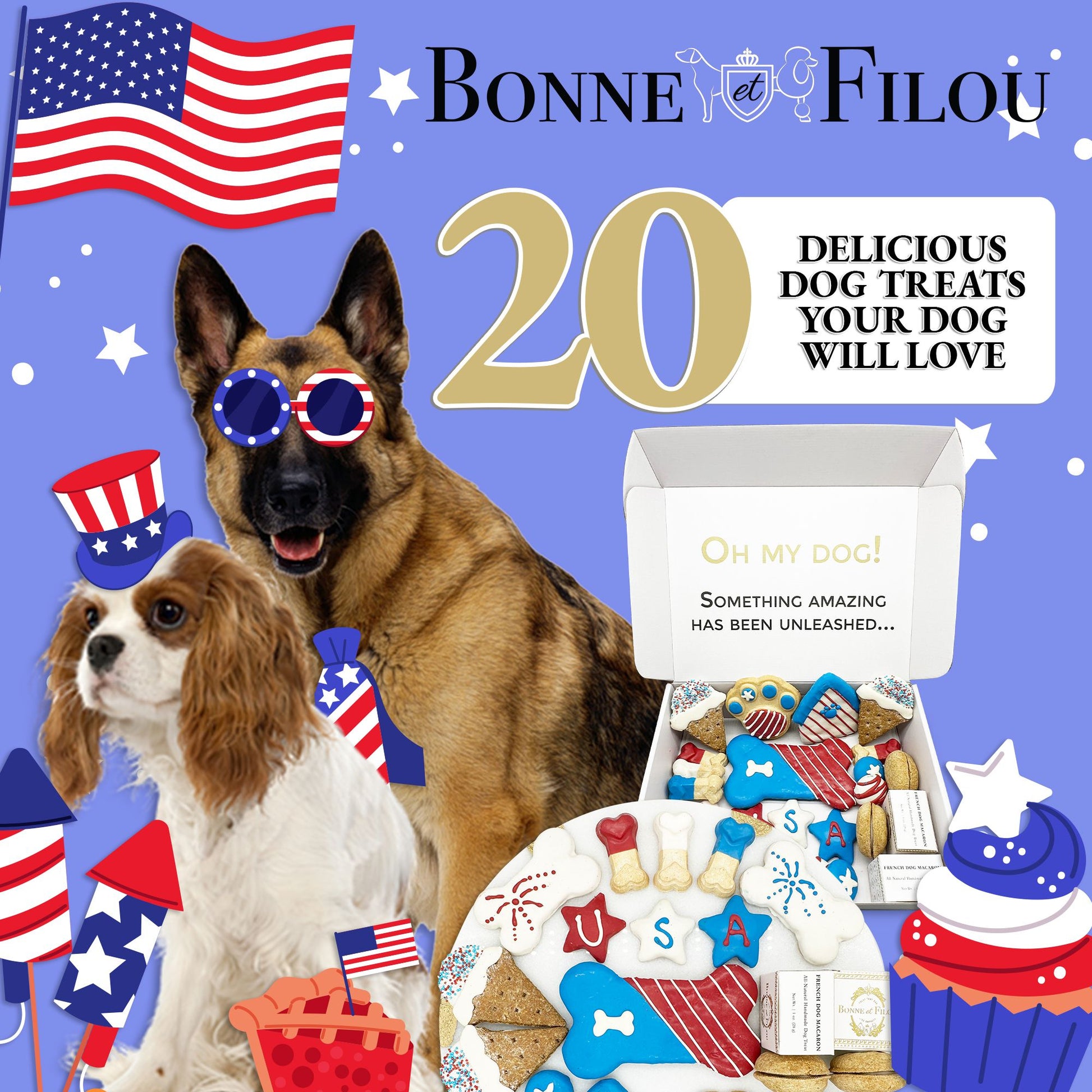 USA themed dog treats box with 20 patriotic snacks and two dogs wearing American flag accessories