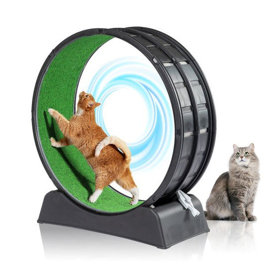 PawCounter.com cat exercise wheel indoor with green running surface and two cats, one running inside the wheel
