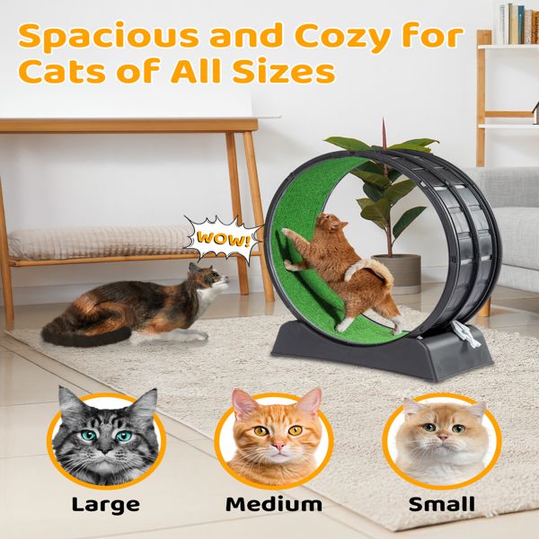Cat exercise wheel indoor in black with green running surface suitable for cats of all sizes in a living room