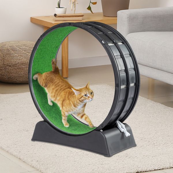 Cat running on a black and green cat exercise wheel indoor in a living room setting