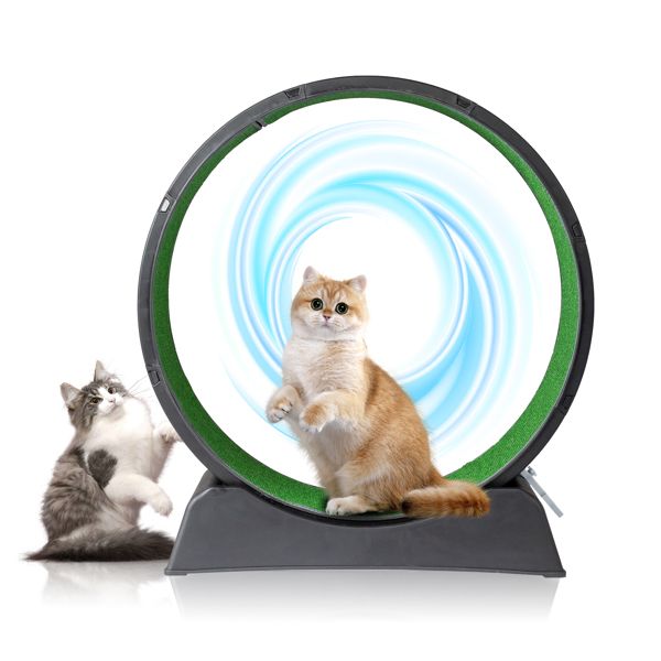 PawCounter.com cat exercise wheel indoor with two cats playing and running on the green and black wheel
