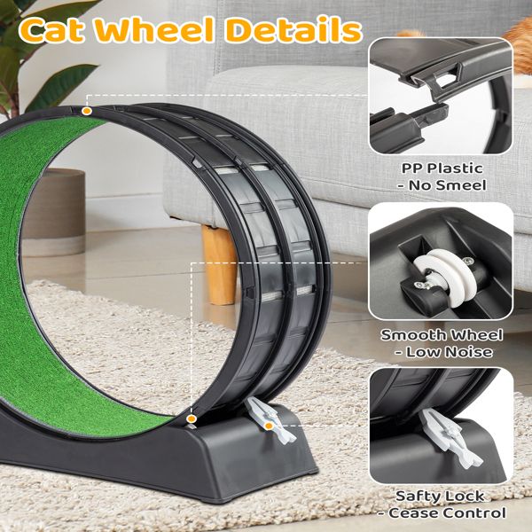 Black cat exercise wheel indoor with green running surface and safety lock on carpeted floor