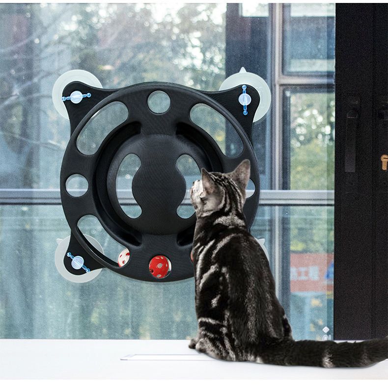 Cat playing with a black cat suction cup toy mounted on a window with balls inside for interactive fun