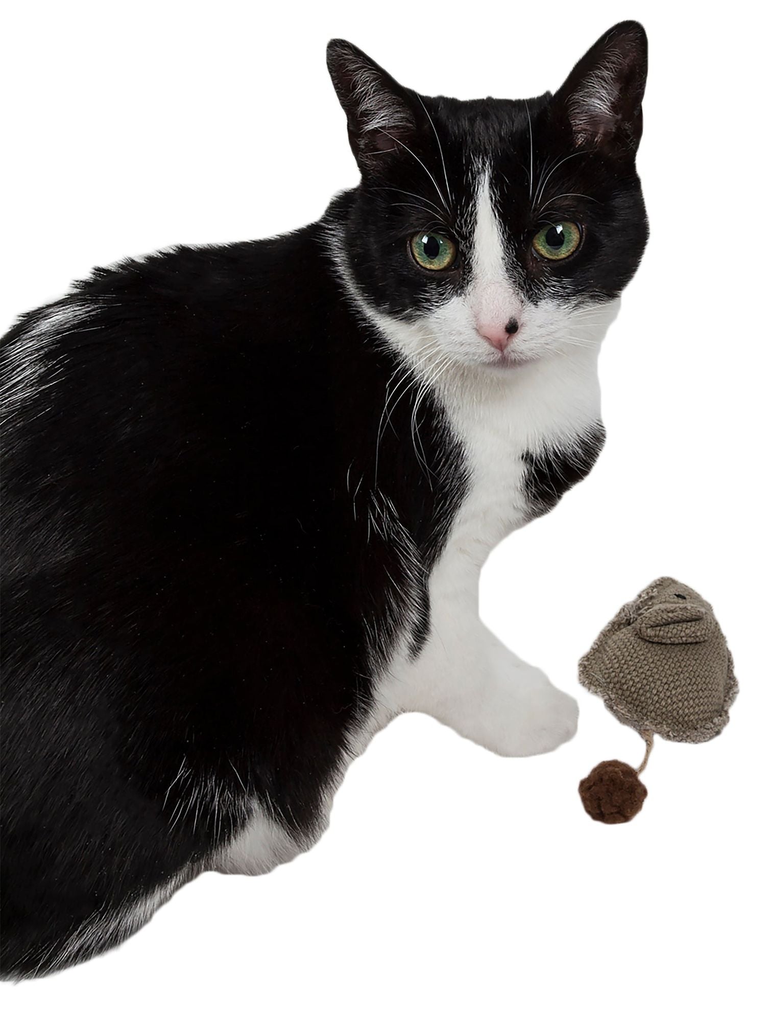 Black and white cat playing with a beige catnip mouse toy for cats from PawCounter.com