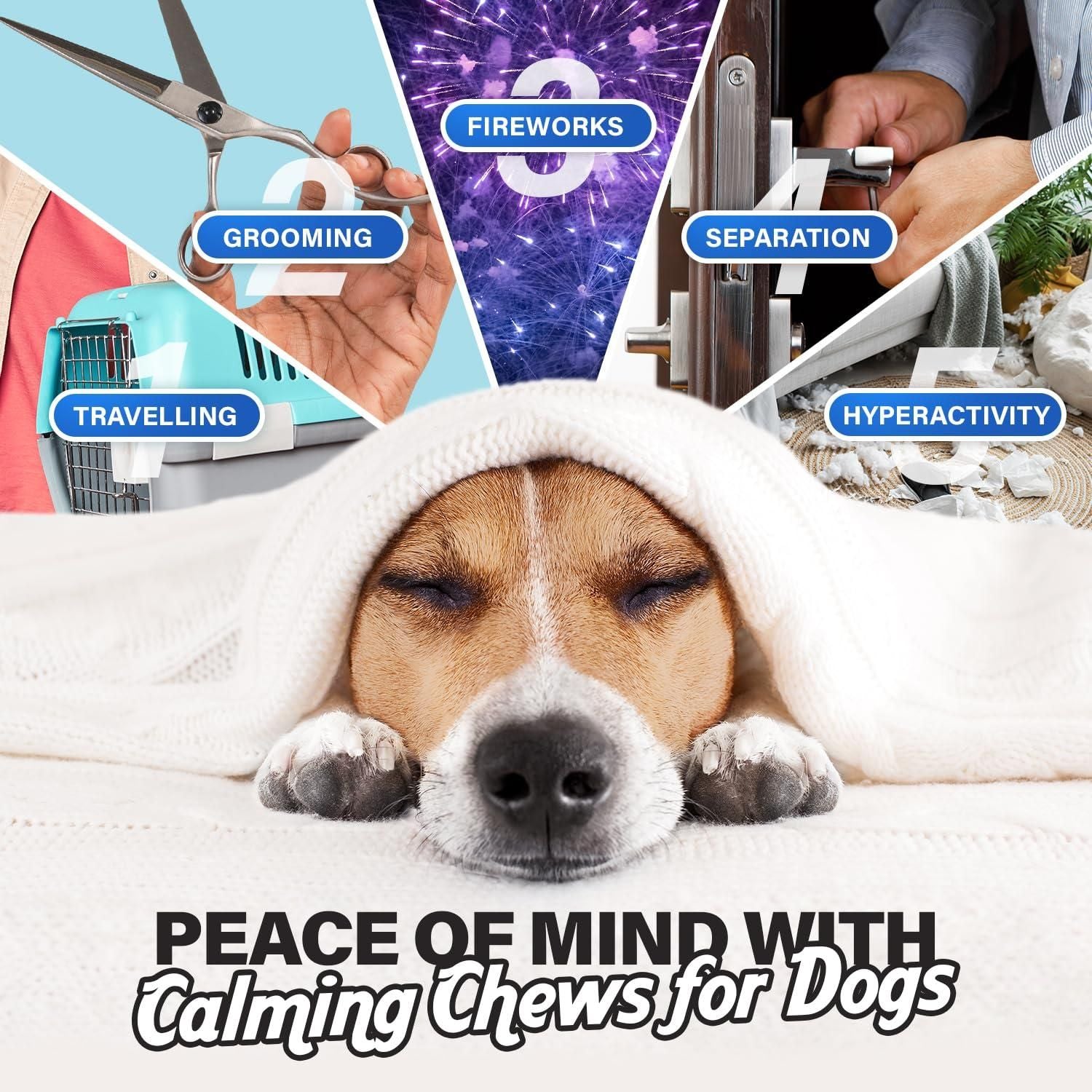 Dog calming chews with melatonin for peace of mind during grooming, fireworks, separation, traveling, and hyperactivity