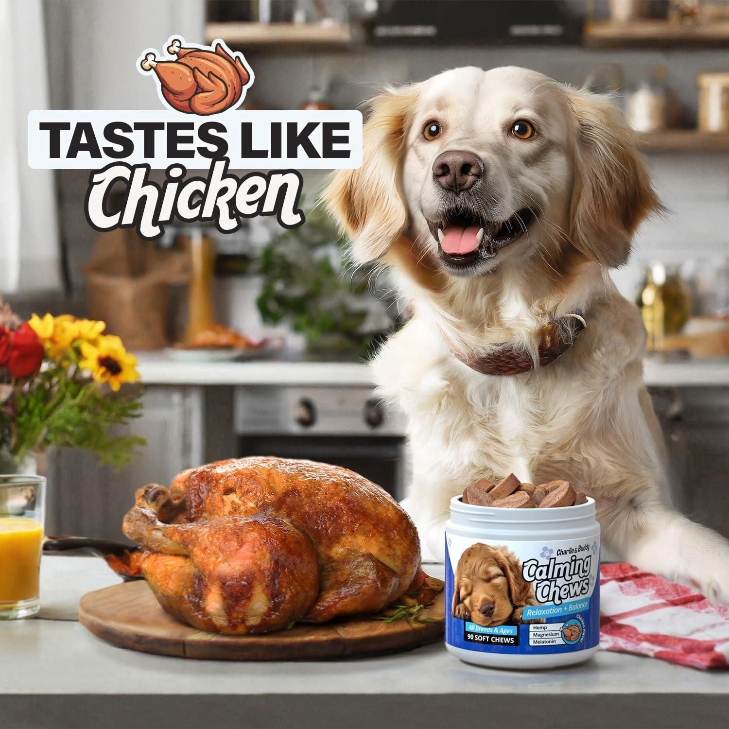 Dog calming chews with melatonin from PawCounter.com next to roasted chicken on kitchen counter with happy dog