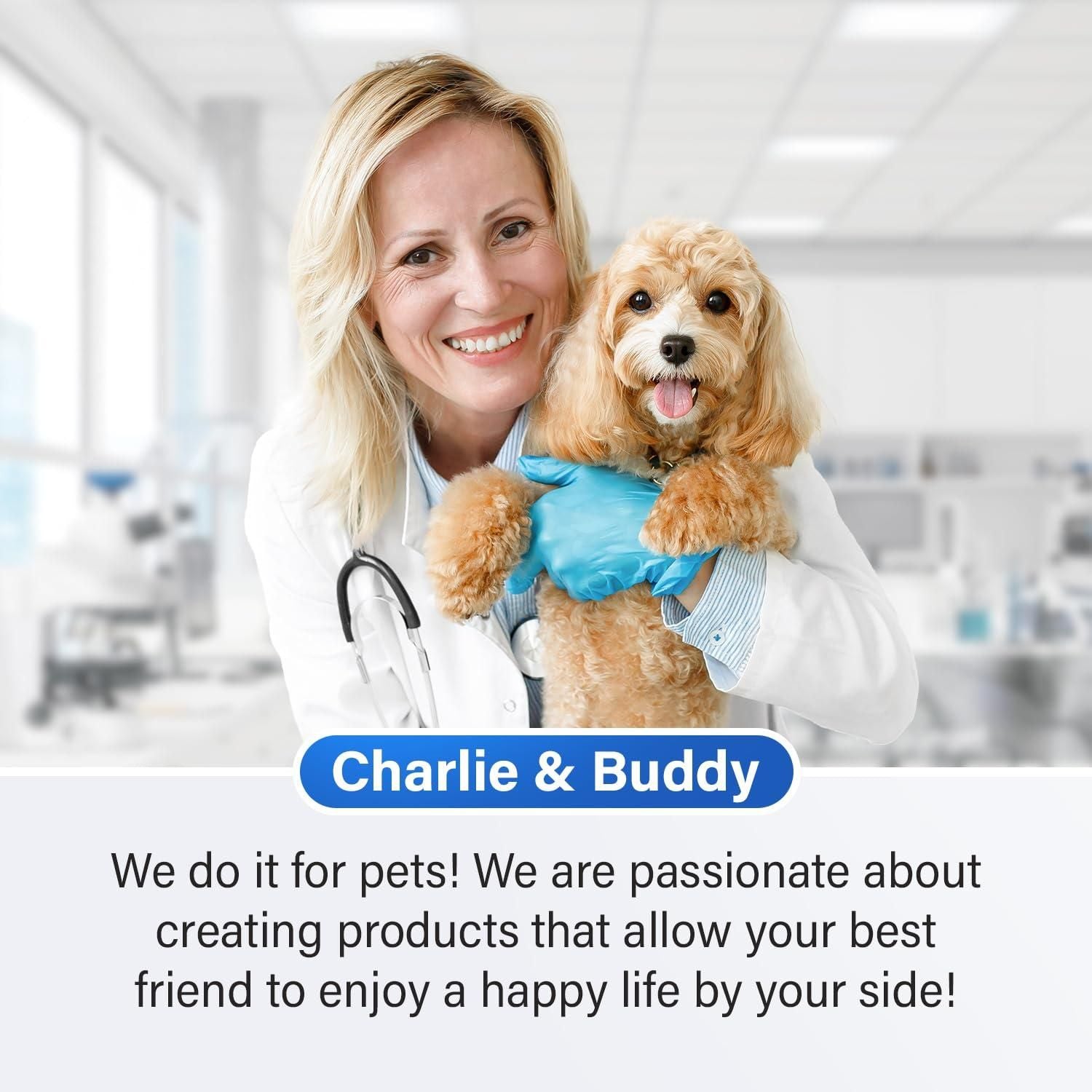 Veterinarian holding a happy small dog in a clinic promoting dog calming chews with melatonin