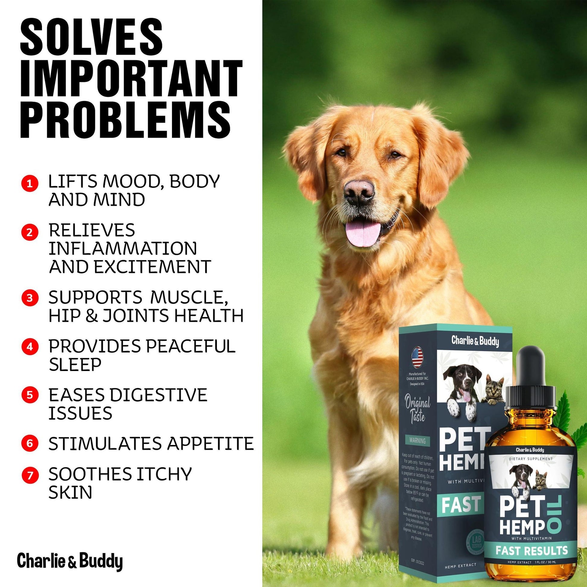 Golden retriever dog sitting next to Charlie and Buddy pet hemp oil for dogs and cats packaging and dropper bottle