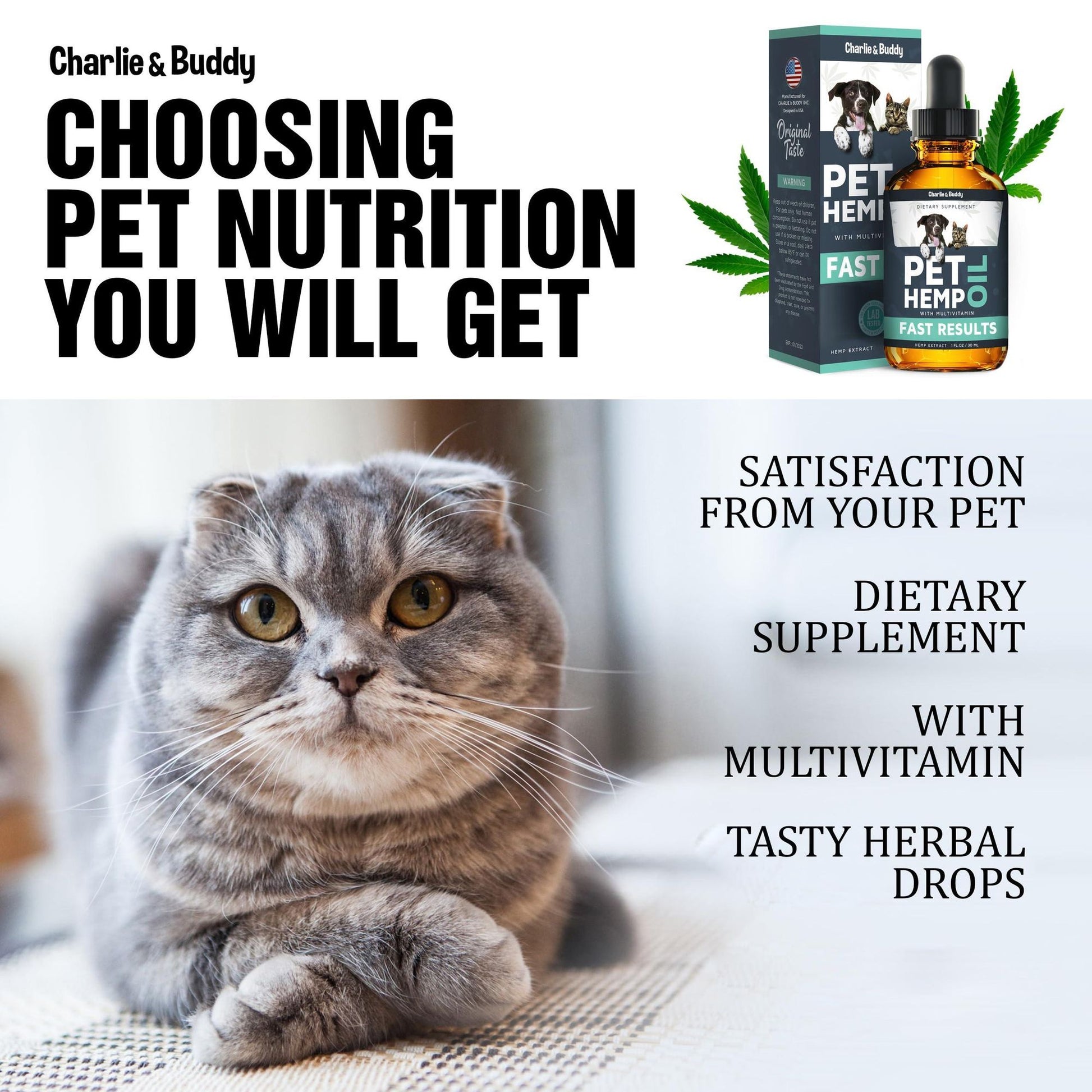 Hemp oil for dogs and cats dietary supplement with multivitamin and herbal drops shown with cat and product bottle