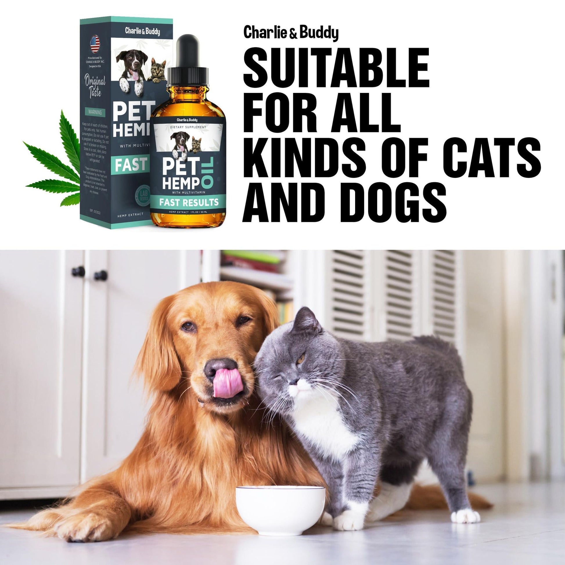 Charlie & Buddy pet hemp oil for dogs and cats with dropper bottle and happy dog and cat together